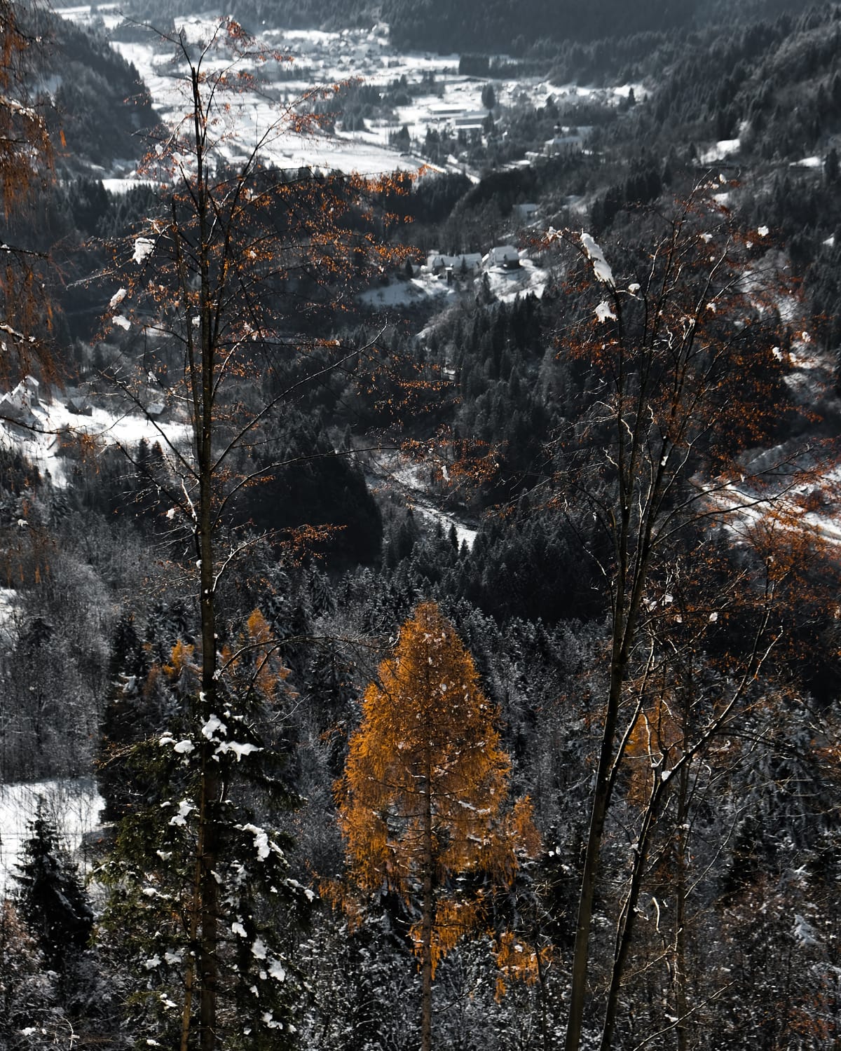 Psiche e Techne - N°011