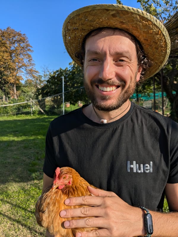 Galline, erba e baci - N°006