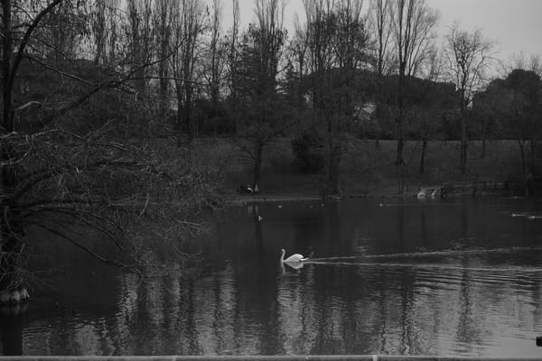 Ho sempre ragione - N°010